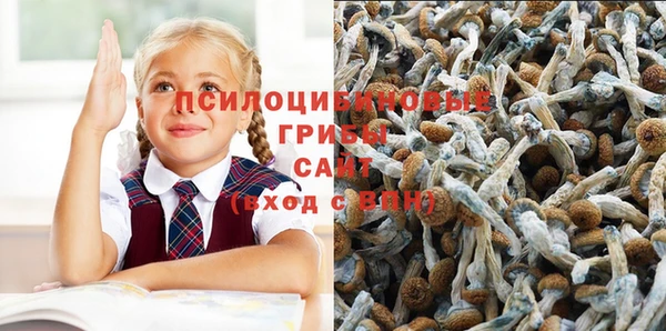 прущий лед Алзамай