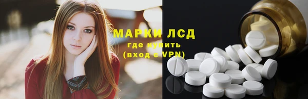 прущий лед Алзамай
