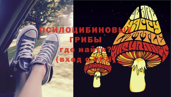 прущий лед Алзамай