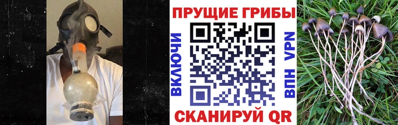 Галлюциногенные грибы Magic Shrooms  Сафоново 