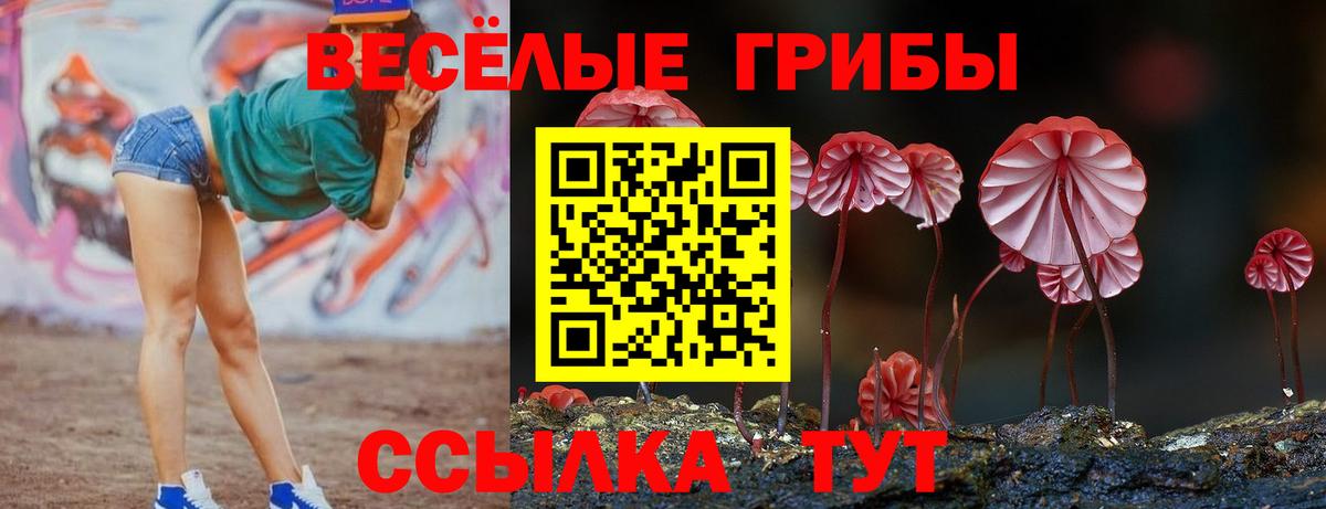 Галлюциногенные грибы мухоморы Сафоново
